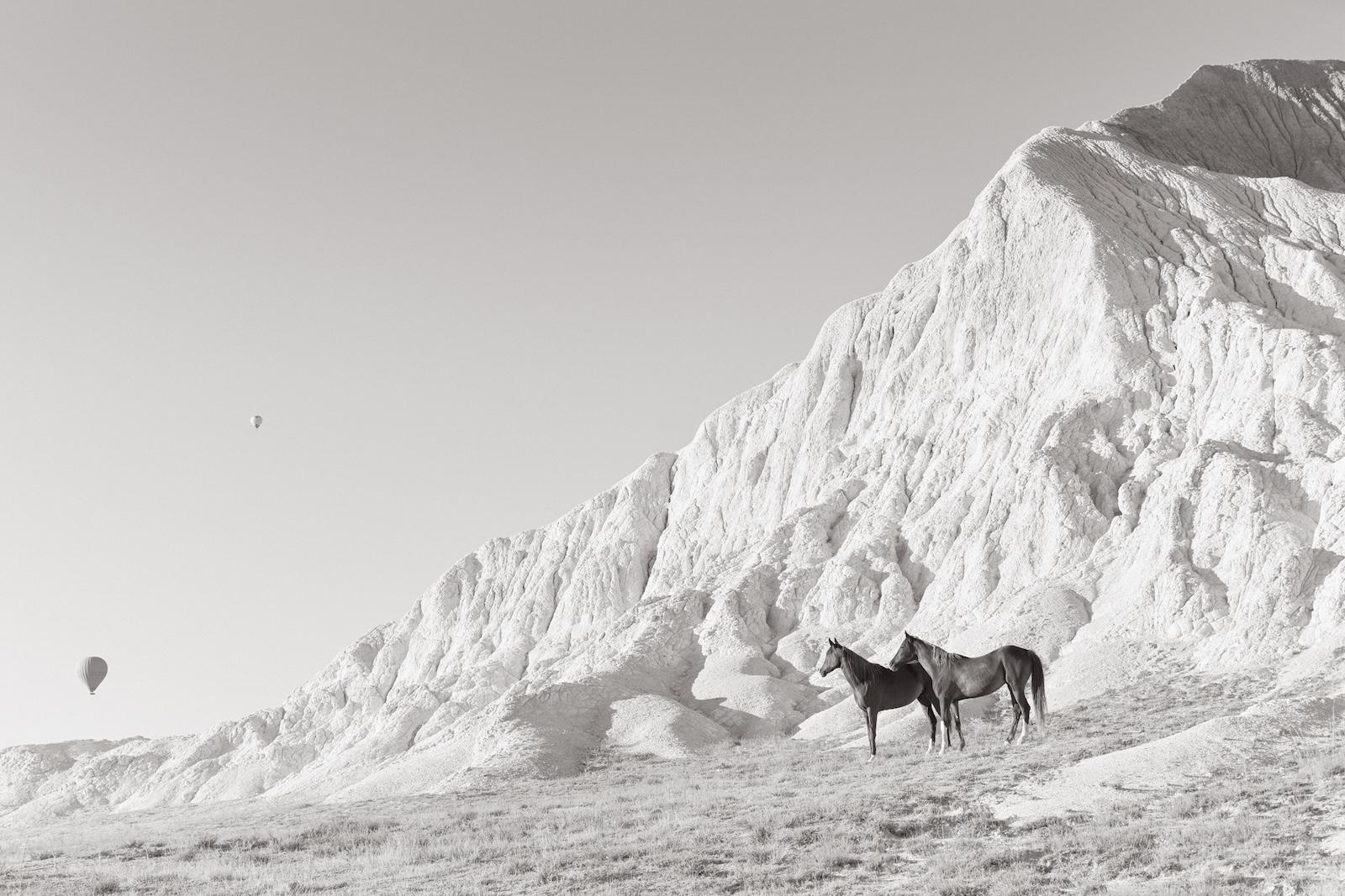 Horses stand in front of a sandstone formation with balloons in the backdrop - Photograph by Drew Doggett