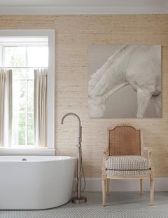 Intimes, von Design inspiriertes, detailliertes Bild eines ganz weißen Camargue-Pferdes