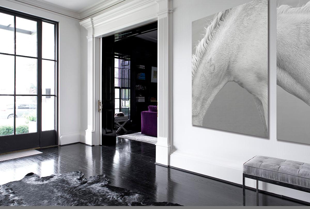 Intimate, Design-Inspired Detailed Image of an All-White Camargue Horse - Gray Landscape Photograph by Drew Doggett