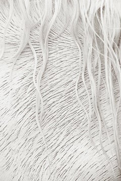 Intimes, von Design inspiriertes, detailliertes Bild eines ganz weißen Camargue-Pferdes