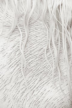 Intimes, von Design inspiriertes, detailliertes Bild eines ganz weißen Camargue-Pferdes