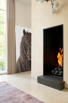 Intimates Porträt eines Zobelinselpferdes''s Schönes Manne, Mode, Ikonisches