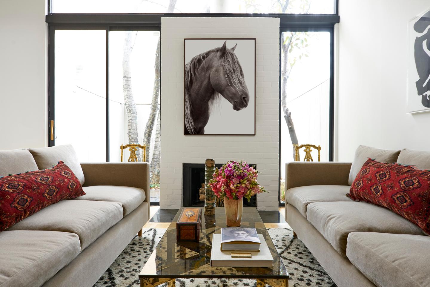 Intimate Portrait of a Sable Island Horse's Beautiful Mane, Fashion, Iconic - Contemporary Photograph by Drew Doggett