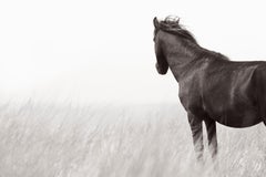 Minimalist Photography