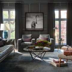 Großer lebender gesprenkelter Elefant, Kenia, ikonisch, unglaublich, ätherisch