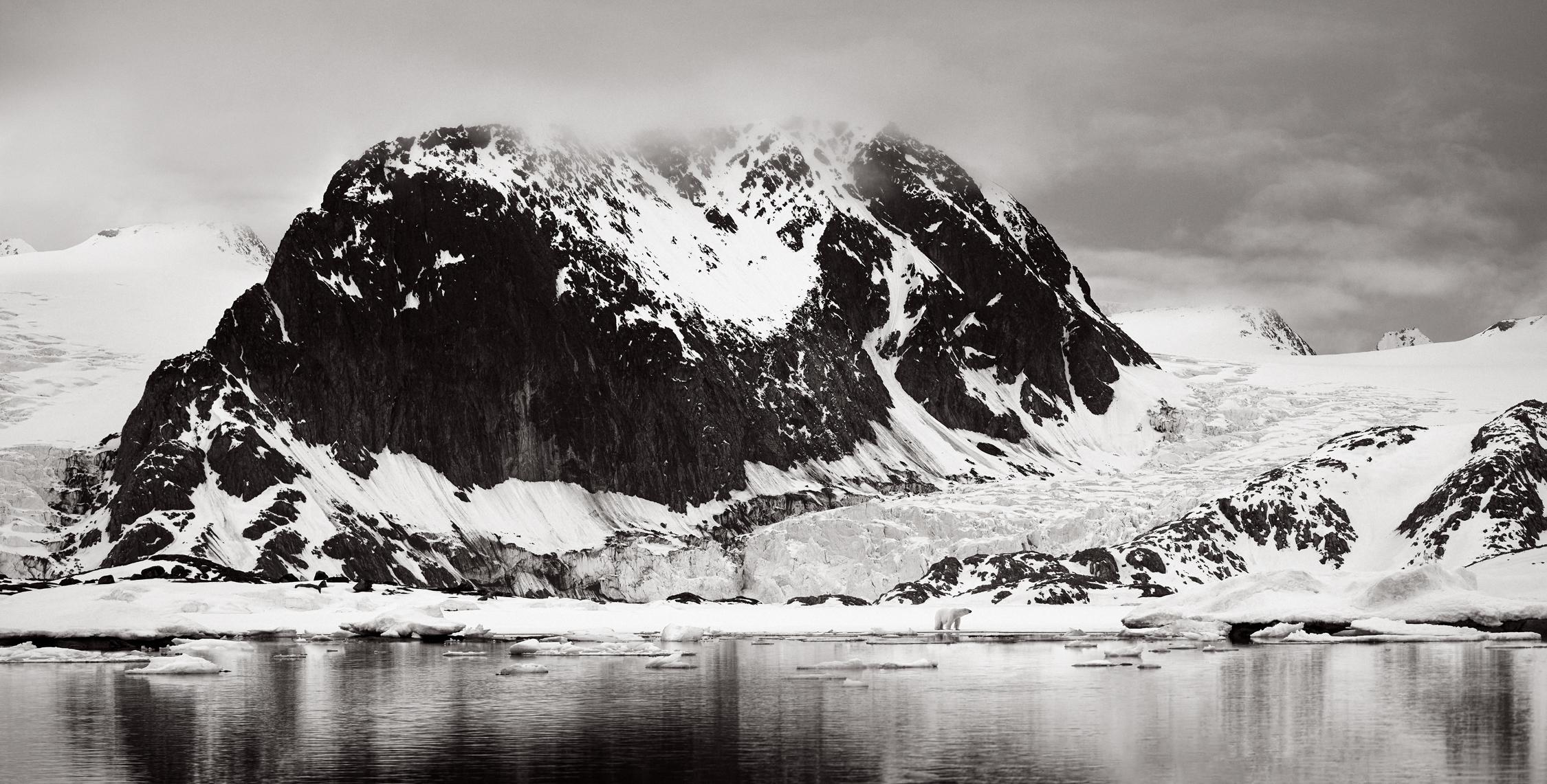 Drew Doggett Black and White Photograph – Ein einsamer Polarbär am Wasserrand, Surreal, Kinotisch