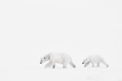 Minimaler Hintergrund mit Mutter und Kub beim Spaziergang in der Arktis