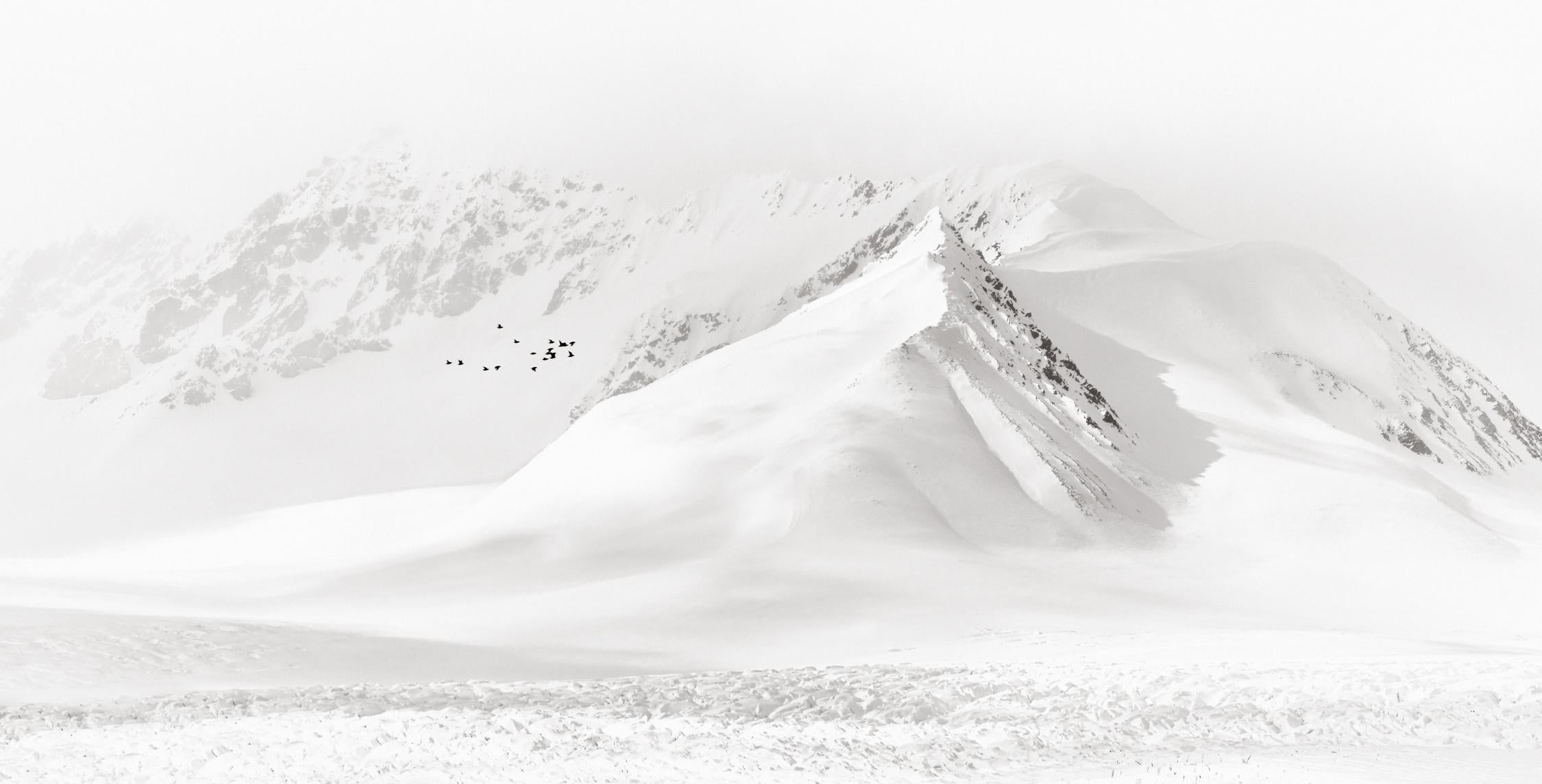 Black and White Photograph Drew Doggett - Paysage minimal, photographie en noir et blanc, glace de mer dans l'Arctique avec oiseaux
