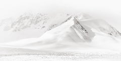 Paysage minimal, photographie en noir et blanc, glace de mer dans l'Arctique avec oiseaux