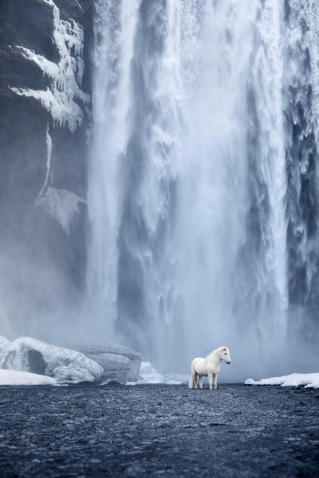 Los elementos de otro mundo y los caballos de belleza única son los motivos por los que elegí Islandia - Photograph de Drew Doggett