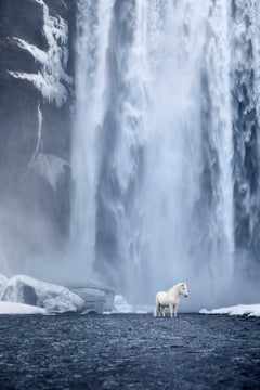 Des éléments d'un autre monde et les chevaux d'une beauté unique sont la raison pour laquelle j'ai choisi l'Islande