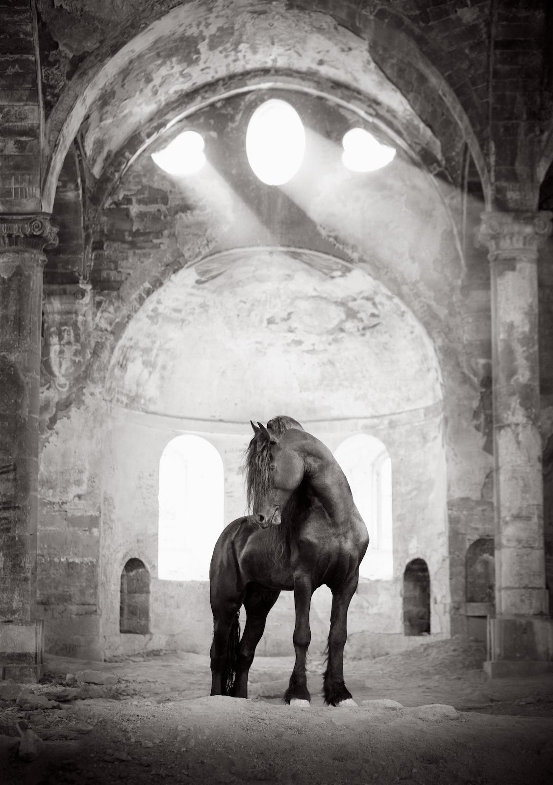 Fotografia di un cavallo frisone in una chiesa abbandonata con la luce che entra - Photograph di Drew Doggett
