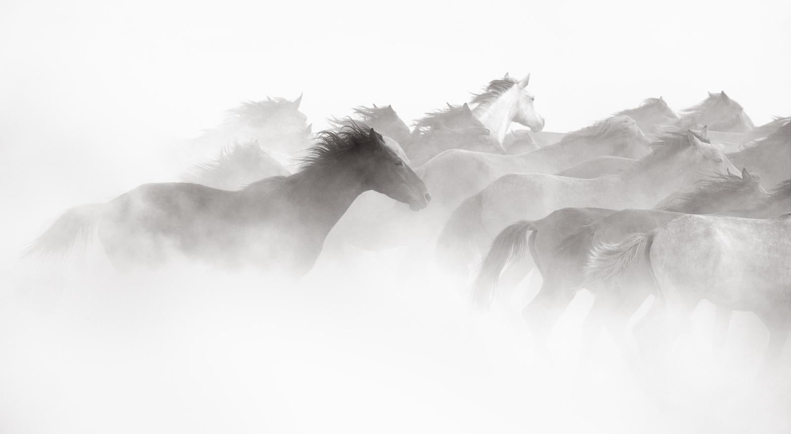 Poesie in Bewegung – Photograph von Drew Doggett