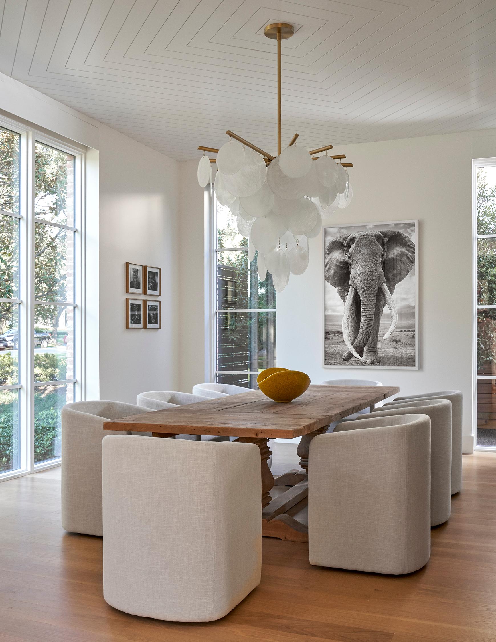 Porträt eines Super-Tisch-Elefanten, Ikonisch, Klassisch, Afrika – Photograph von Drew Doggett