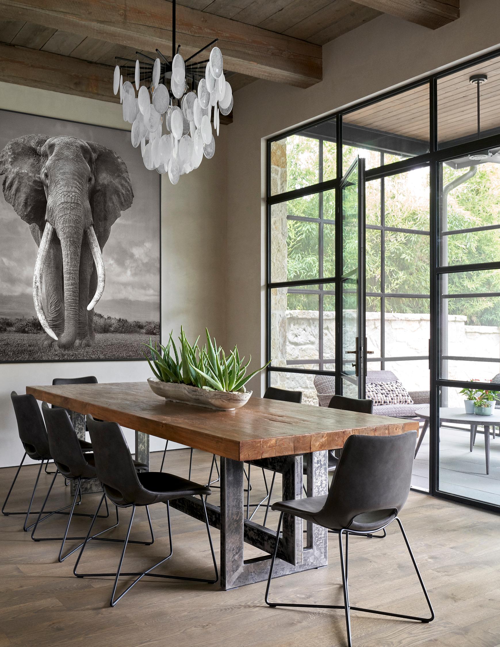 Porträt eines Super-Tisch-Elefanten, Ikonisch, Klassisch, Afrika (Zeitgenössisch), Photograph, von Drew Doggett