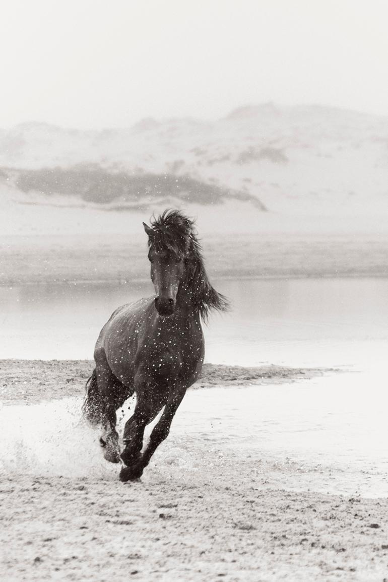 Drew Doggett Black and White Photograph – Laufsteg mit Wildpferd auf Zobelinsel, Schwarz-Weiß-Fotografie, Reiter