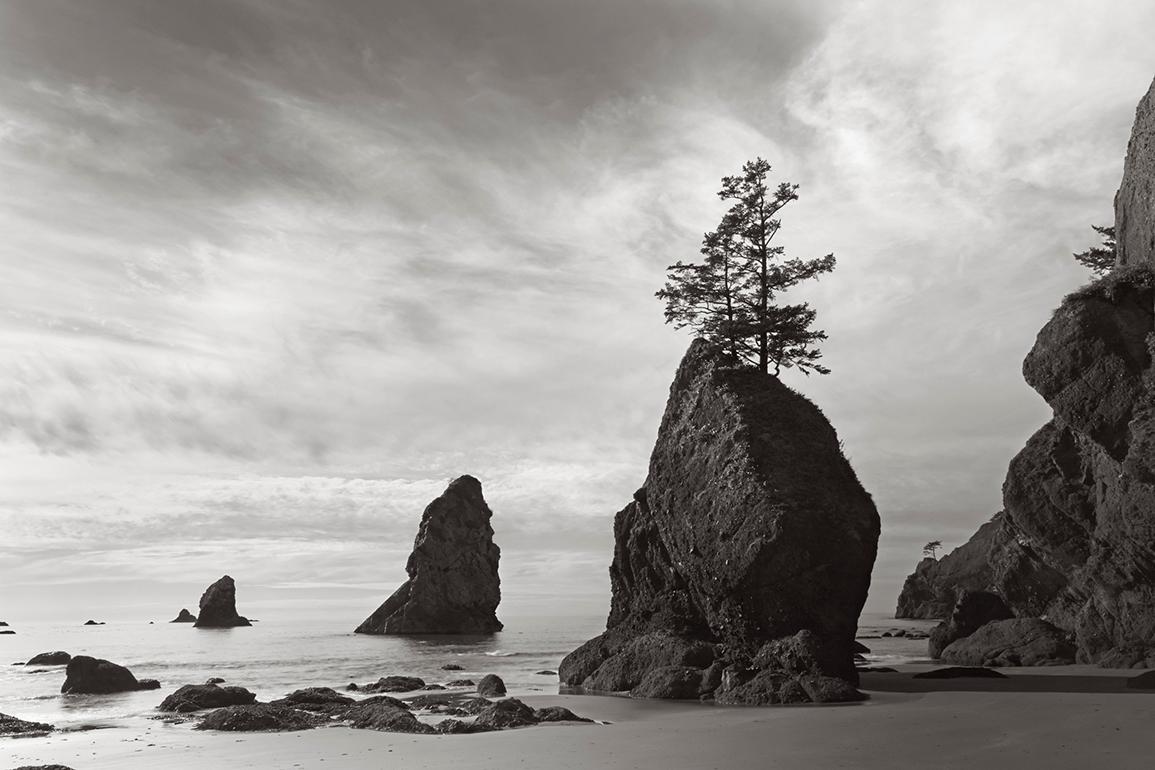 "Sea Stacks"

With their minimal, geometric form, these rocks play the perfect counterpart to the organic design of the Pacific Coast, soft sand, and clouds. 

Explore the National Parks throughout the Western United States in this intimately
