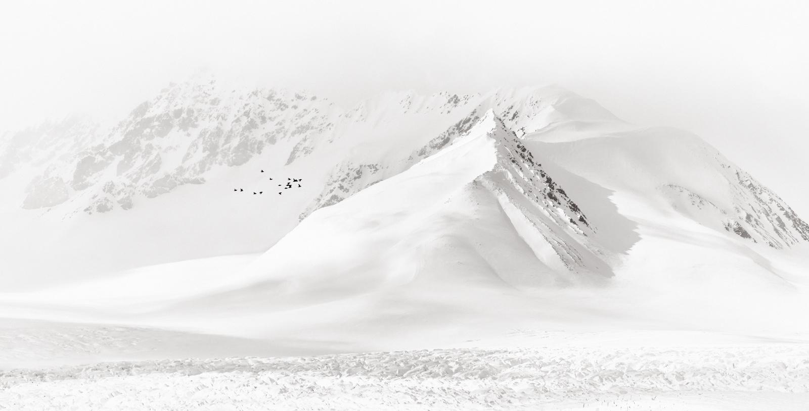 Neve Fotografia