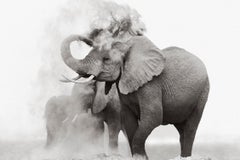 Ritratto surreale di un elefante con polvere in Kenya, minimal, ispirato alla moda