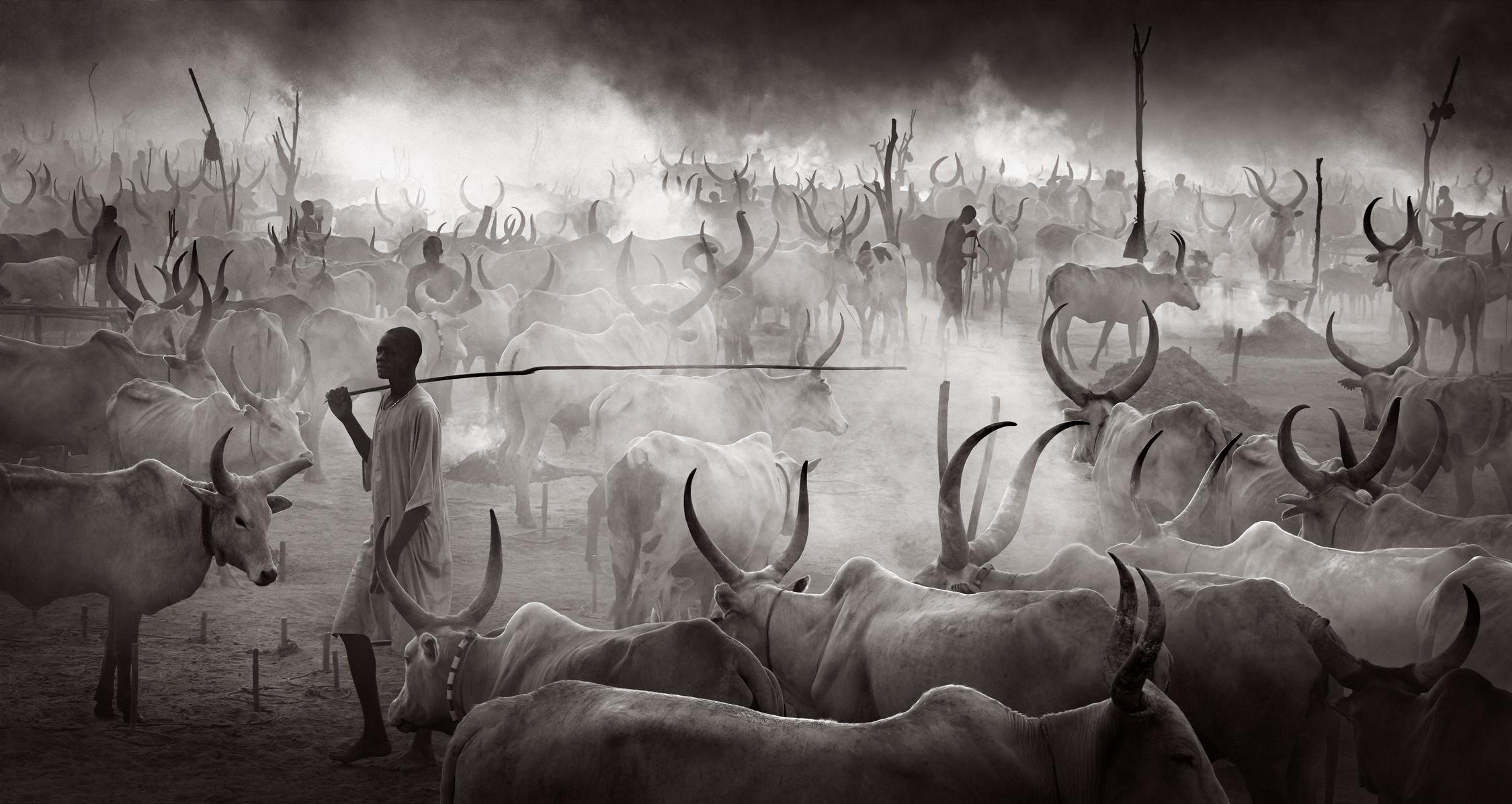 Black and White Photograph de Drew Doggett - Escena surrealista de la vida entre los campamentos de ganado en Sudán del Sur, con ca de cuernos largos