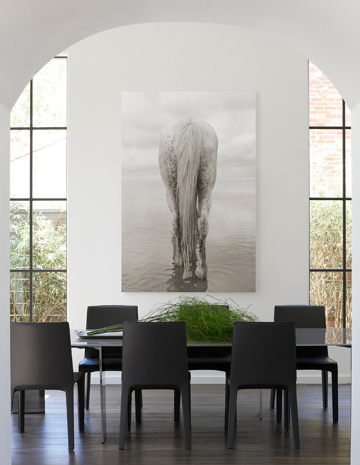 Portrait of an All-White Horse in Camargue, France, Vertical, Ethereal - Contemporary Photograph by Drew Doggett