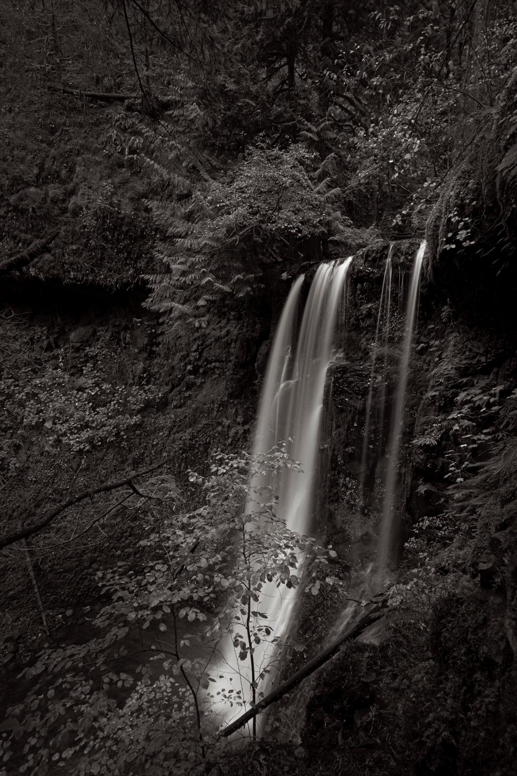 Las cascadas del noroeste del Pacífico están escondidas en bolsillos listos para ser descubiertos - Photograph de Drew Doggett