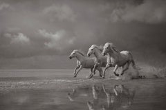 Drei kühne weiße Pferde, die frei schweben, ikonisch, filmisch, ätherisch 