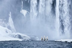 Tres caballos blancos galopan hacia delante con la cascada Skogafoss a sus espaldas