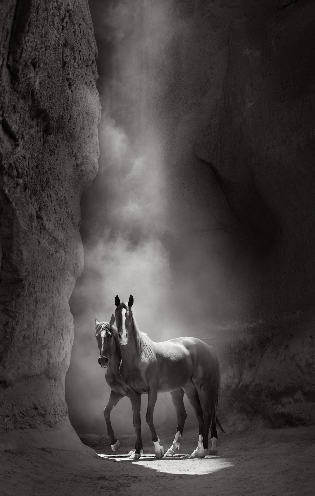 Two horses with white blazes illuminated by light streaming into a slot canyon - Photograph by Drew Doggett