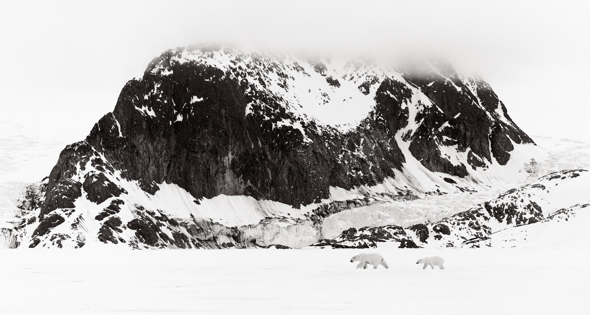 Drew Doggett Black and White Photograph – Zwei Polarbären gehen in der Mitte einer unglaublichen arcticischen Landschaft