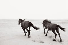 Zwei Wildpferde, die am Strand laufen, minimalistisch, horizontal, Reiter