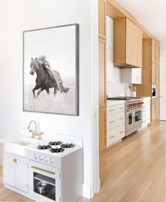 Increíble Caballo Salvaje Con Hermosa Crin, Icónico, Vertical