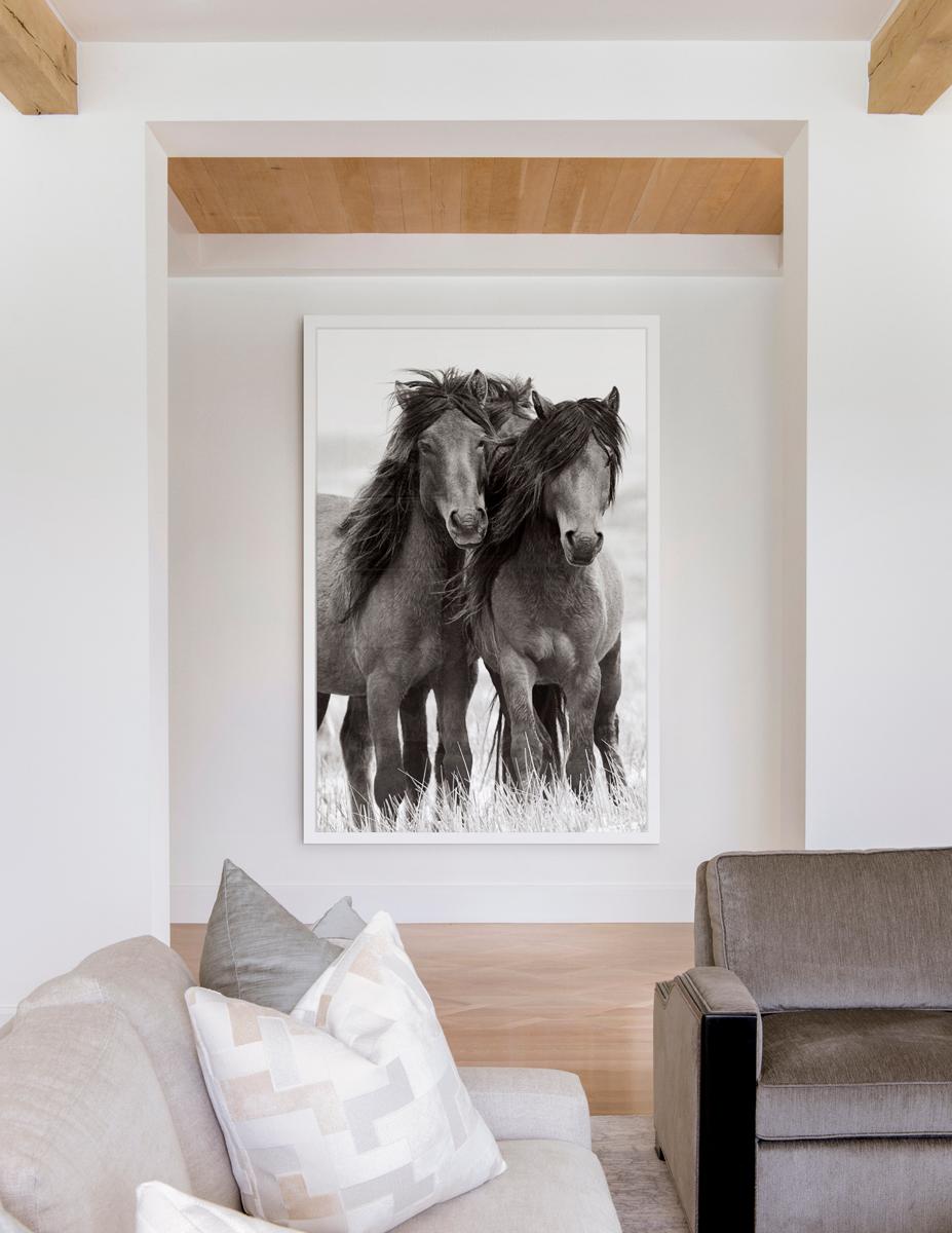 Un unglaubliches Wildpferd mit schönem Mann, ikonisch, vertikal (Grau), Black and White Photograph, von Drew Doggett