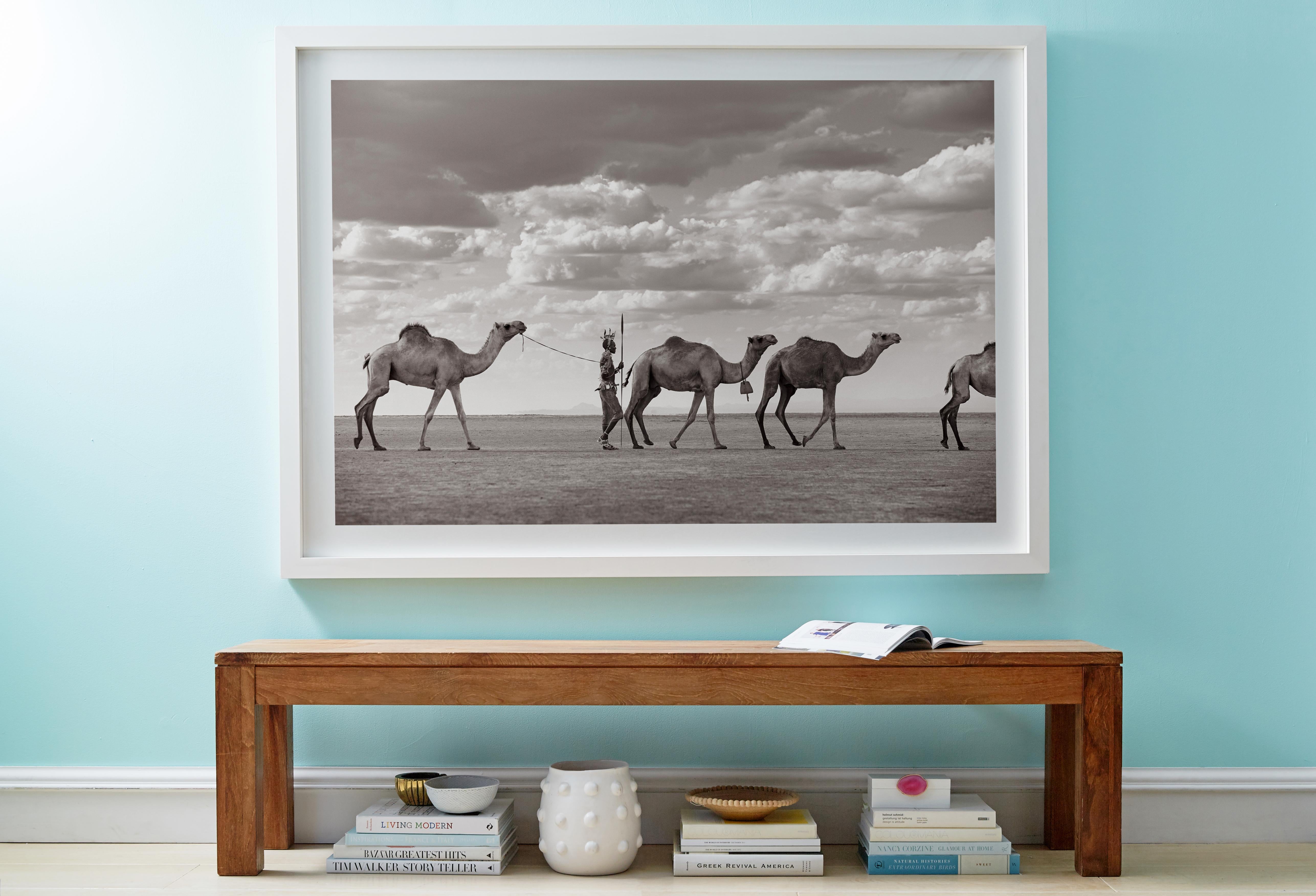 Warrior in Kenya Leading Camels Across Desert, Horizontal, Iconic - Photograph by Drew Doggett
