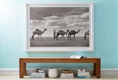 Warrior in Kenya Leading Camels Across Desert, Horizontal, Iconic