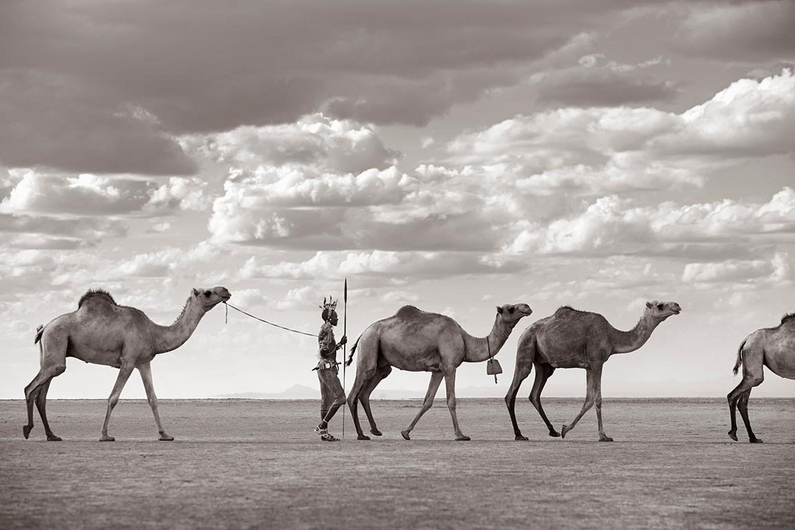 Drew Doggett Black and White Photograph – Warrior in Kenia, der Kamelien durch die Wüste führt, horizontal, ikonisch
