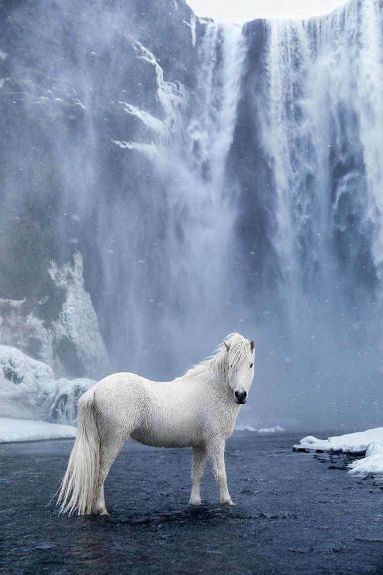 Drew Doggett Portrait Photograph - White Horse Beneath a Waterfall, Color Photography, Vertical
