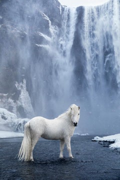 Weißes Pferd unter einem Wasserfall, Farbfotografie, vertikal