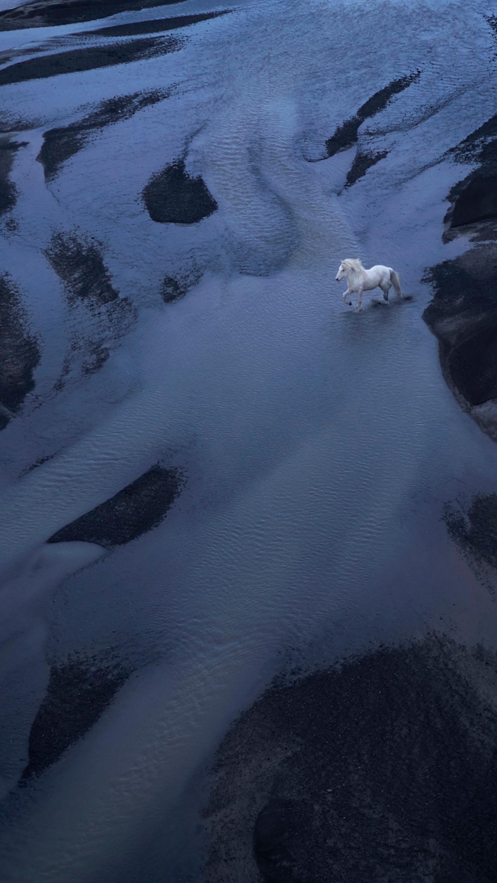Ein weißes Pferd läuft in einem unglaublichen Moment über ein Flussbett aus schwarzem Sand – Photograph von Drew Doggett