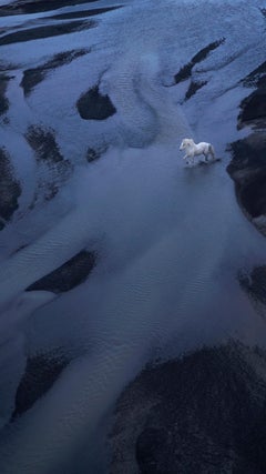 Ein weißes Pferd läuft in einem unglaublichen Moment über ein Flussbett aus schwarzem Sand