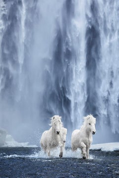 Weiße Pferde laufen unter einem Wasserfall in Island, Farbfotografie, vertikal