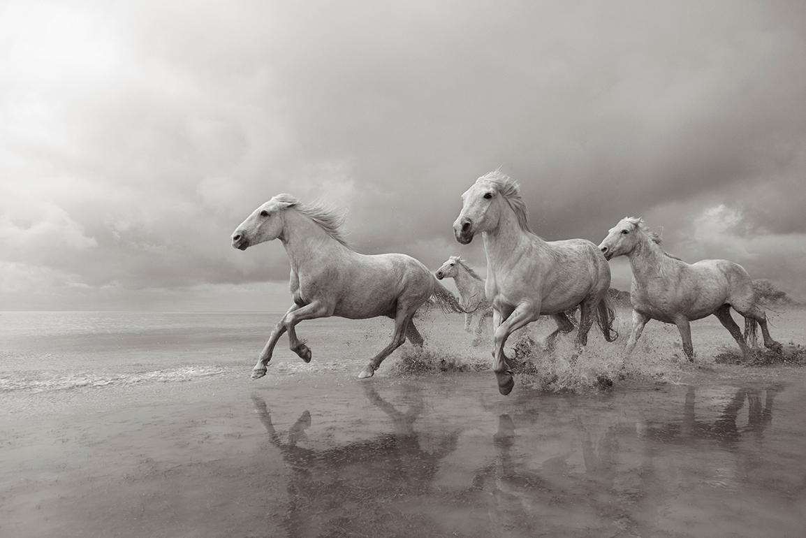 Black and White Photograph di Drew Doggett - Cavalli bianchi che corrono nell'acqua, minimale, etereo, best-seller