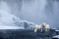 Caballos blancos de pie bajo una cascada, Fotografía en color, Horizontal