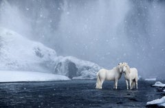 White Horses Standing Beneath a Waterfall, Color Photography, Horizontal