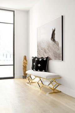 Wild Horse Walking Through Water with Mane Blowing in Wind, Best-Selling Print