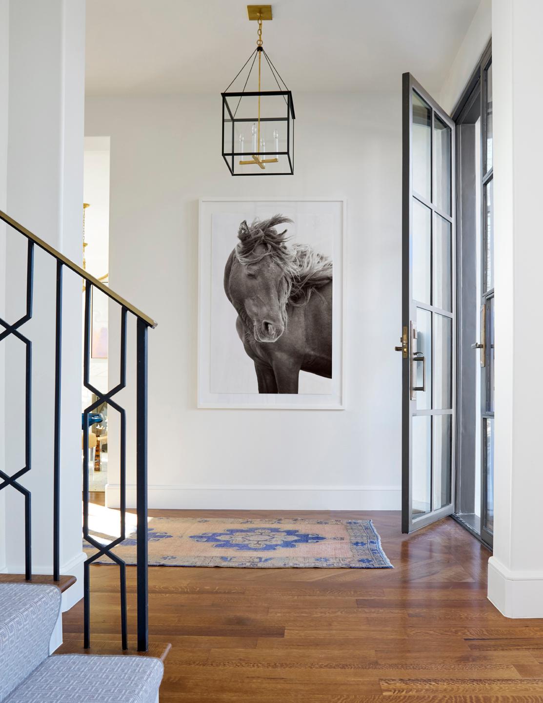 Wildes Pferd mit mundgeblasenem Wind, Mode, minimalistisch, Bestseller – Photograph von Drew Doggett