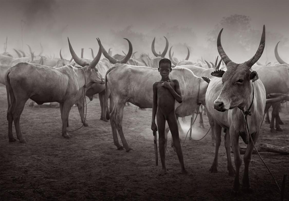 Drew Doggett Black and White Photograph – Junger Junge mit einem Stab in der Mitte des Mundari- Rinderlagers
