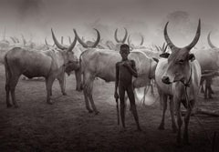 Young Boy Holding a Staff in the Midst of the Mundari Cattle Camp