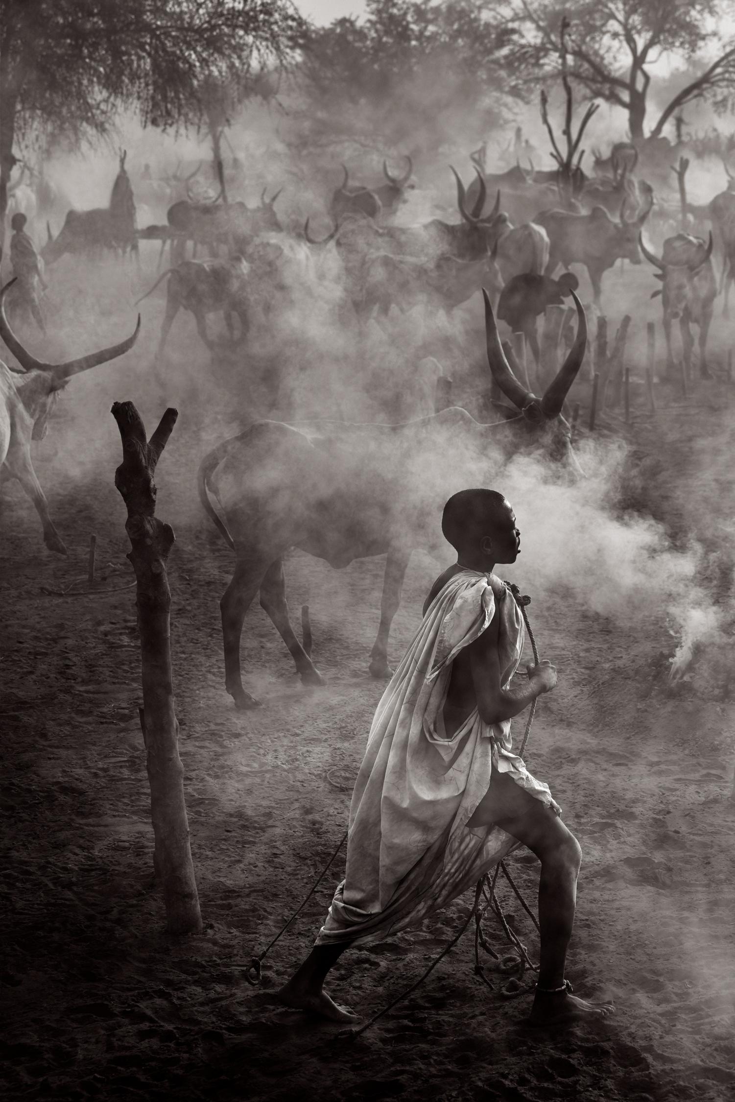 Drew Doggett Black and White Photograph – Der junge Junge geht durch die Rinderlager in der Dämmerung, Schwarz-Weiß, Surreal
