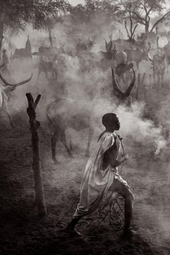 Young Boy Walking Through the Cattle Camps at Dusk, Black & White, Surreal 
